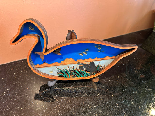 Duck 1